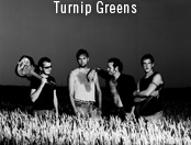 foto af turnip greens
