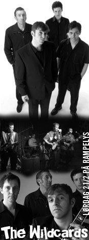 wildcards